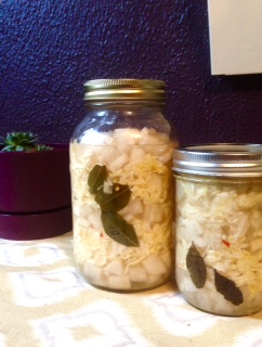 fermented daikon radish pickles